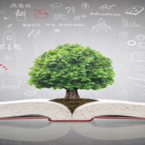 Education